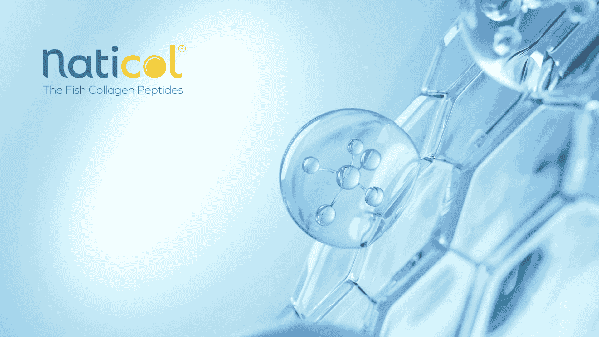 Atouts du collagène marin hydrolysé Naticol