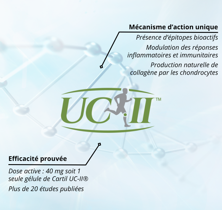 Collagène natif de type II UC-II® : un actif clé du confort articulaire à l’efficacité scientifiquement prouvée
