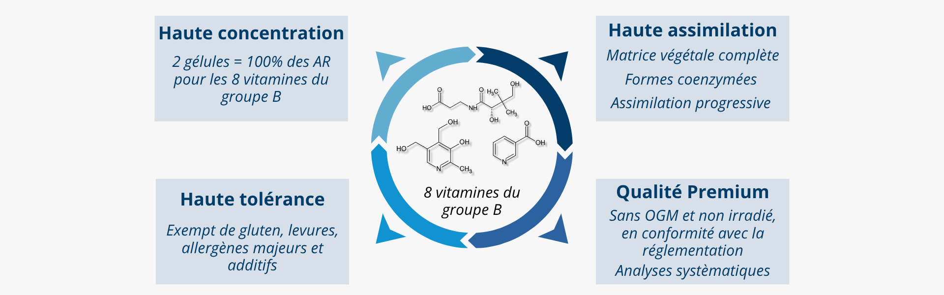  Atouts de notre complément alimentaire vitamines du groupe B extraites de germes de quinoa