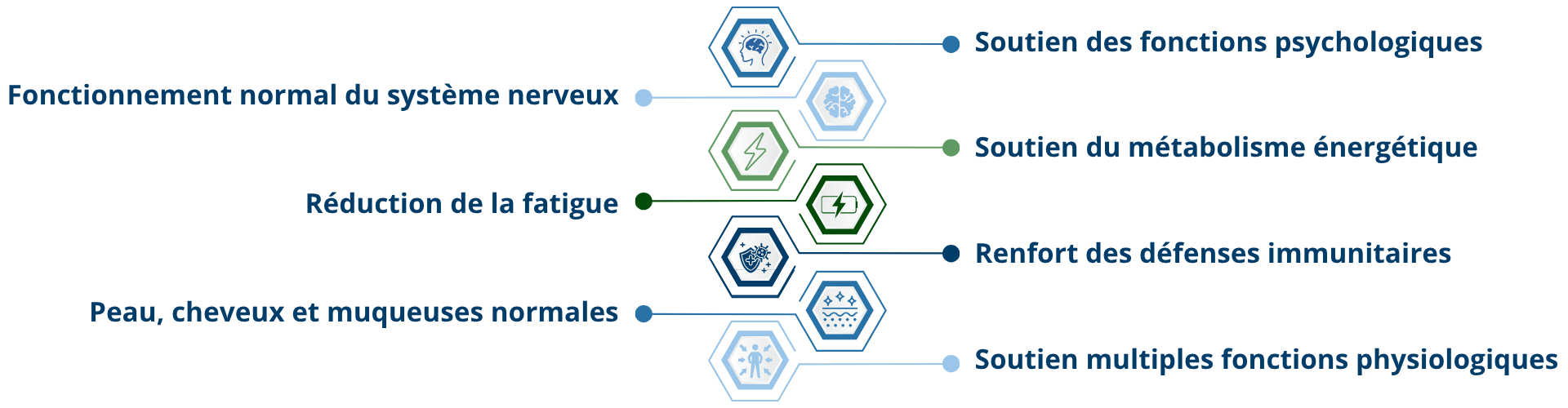 bienfaits des vitamines du groupe b 