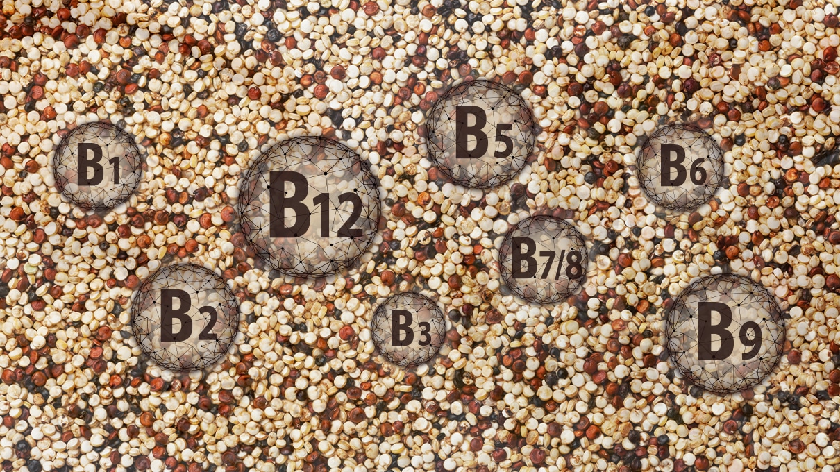  Complément alimentaire vitamines du groupe B extraites de germes de quinoa
