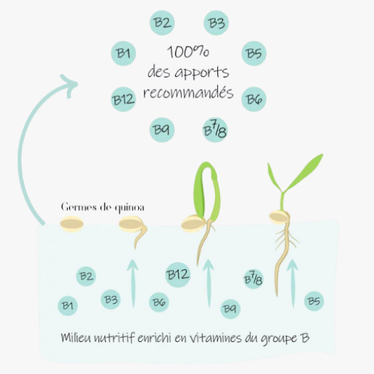 procédé de fabrication naturel et maîtrisé