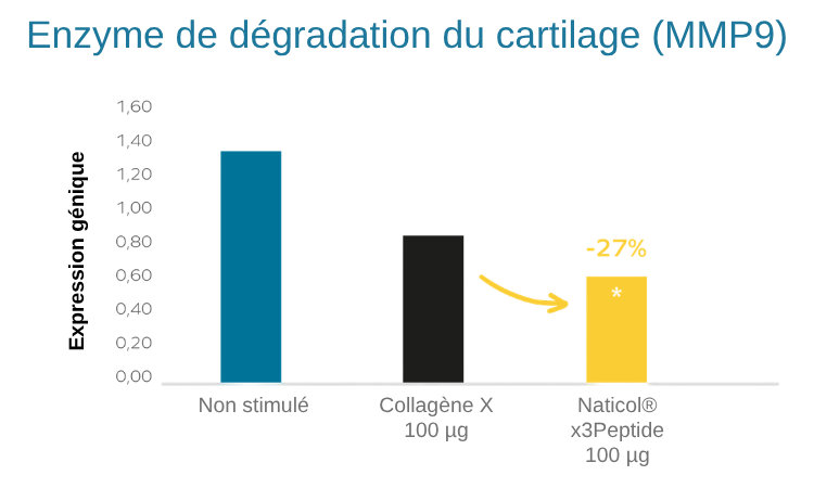 Enzyme de dégradation du cartilage