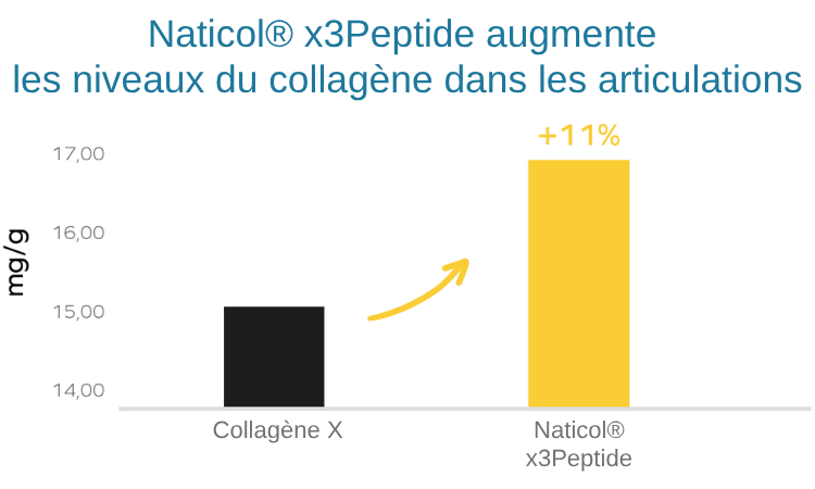 Augmentation des niveaux de collagène dans les articulations par Naticol x3Peptide