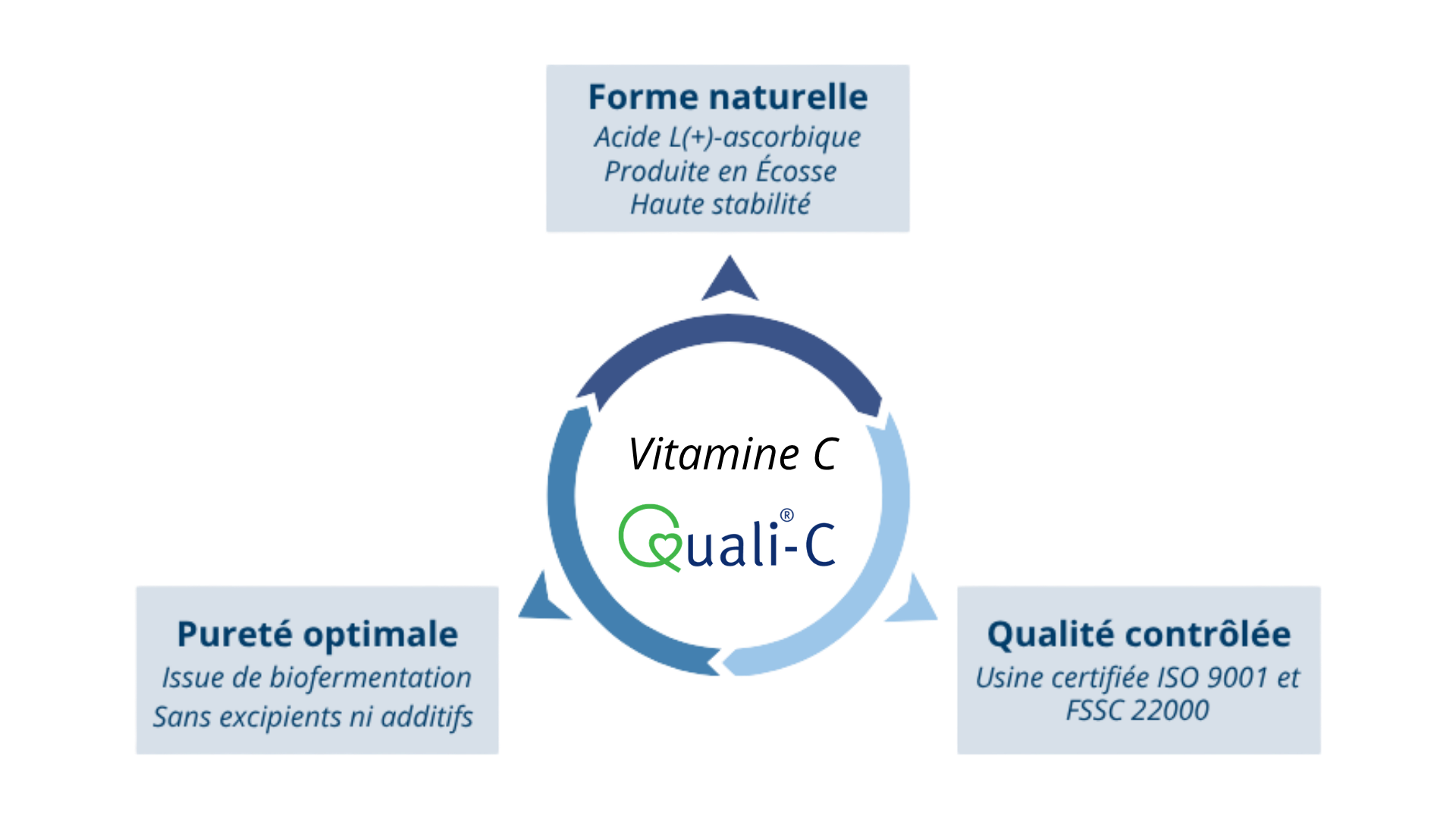 atouts vitamine C