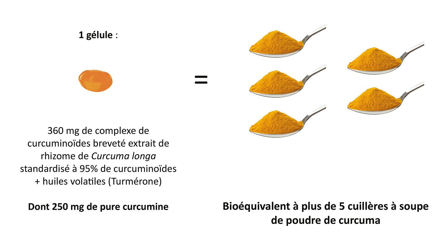 Une gélule de CurcumActif 2 250 mg correspond à plus de 5 cuillères à soupe de poudre de curcuma