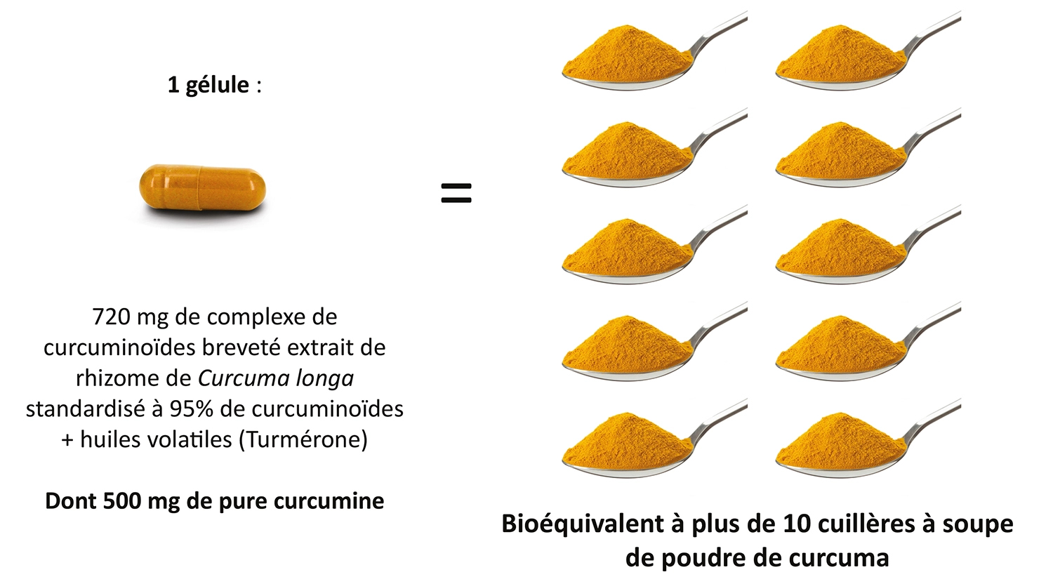 Une gélule de CurcumActif 2 500 mg correspond à plus de 10 cuillères à soupe de poudre de curcuma