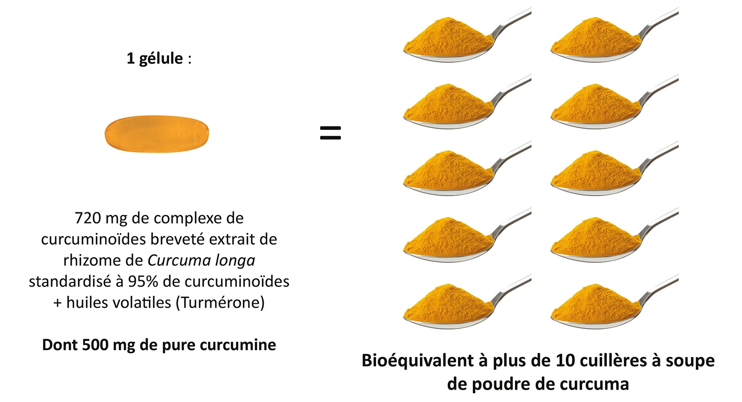 Une gélule de CurcumActif 2 500 mg correspond à plus de 10 cuillères à soupe de poudre de curcuma
