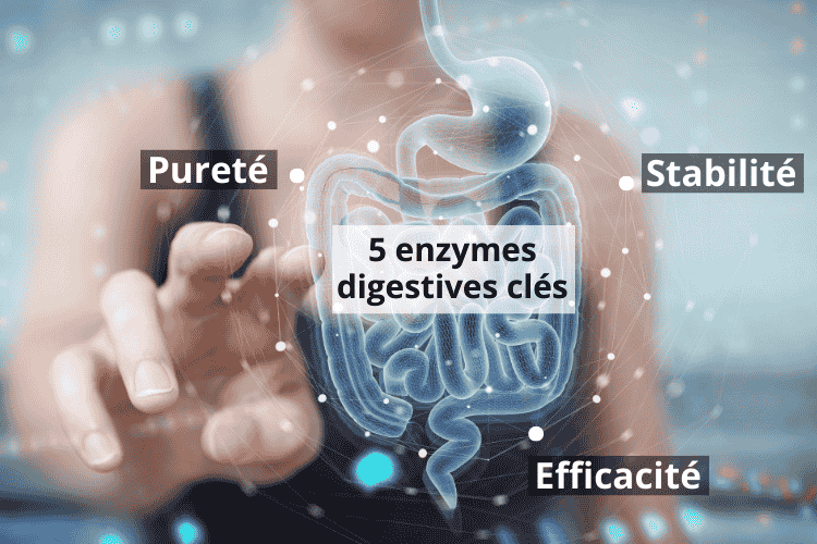 un complexe enzymatique de haute qualité