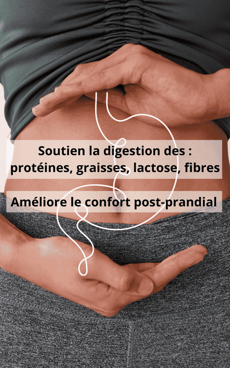 les bienfaits de digestenzym