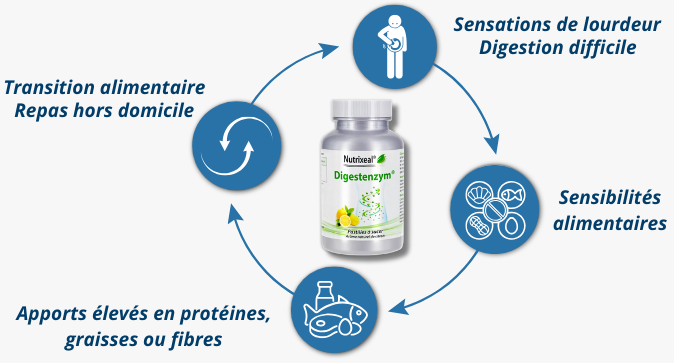 5 enzymes digestives majeures composant digestenzym : amylase, protéase neutre, lipase, lactase et cellulase