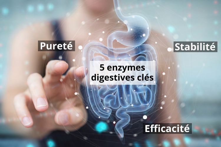  un complexe enzymatique de haute qualité