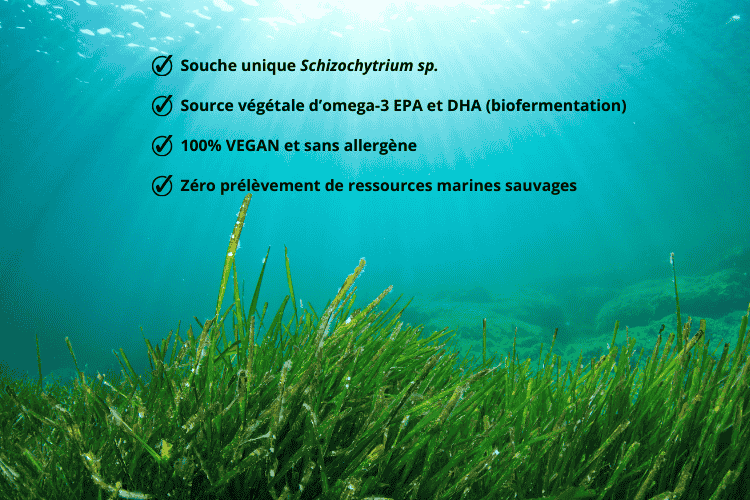 EPA/DHA Green® Une source unique d’EPA d’origine végétale et éco-responsable 