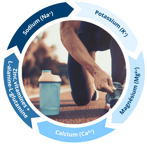 Une formulation experte pour une hydratation optimale avant, pendant et après l’effort