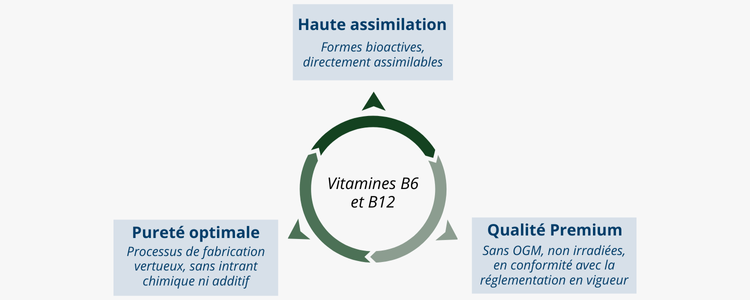 Vitamines B6 (pyridoxal 5-phosphate P5P) et B12 (méthylcobalamine et cobamamide) : formes actives, qualité de grade pharmaceutique
