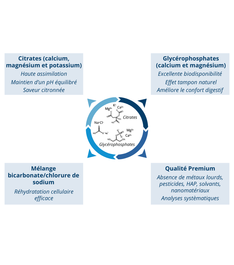 Les atouts de la Boisson premium d’hydratation - électrolytes, vitamines et antioxydants naturels