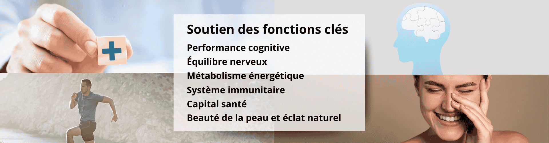 Les bienfaits à attendre de l'Ergothionéine MycoComplex 