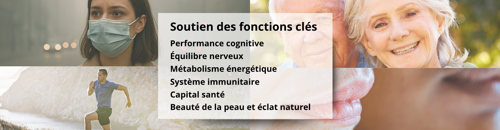 Les bienfaits à attendre de l'Ergothionéine MycoComplex