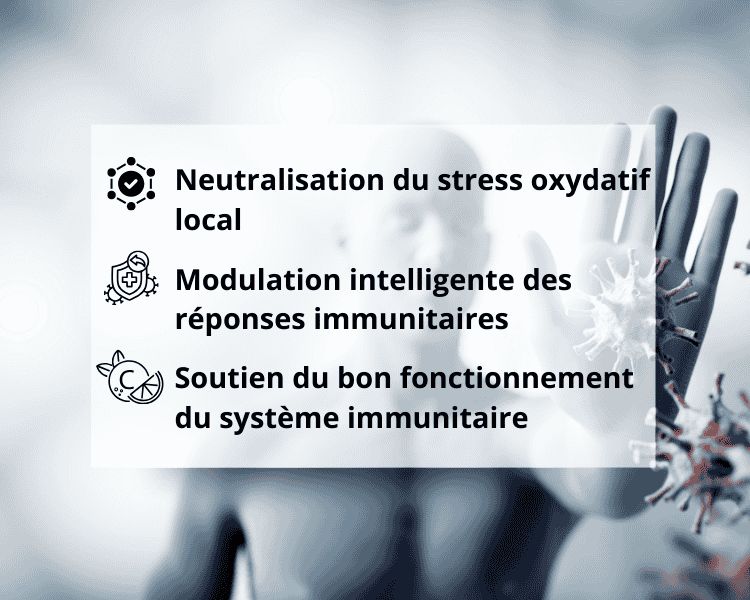 L'effet de l'ergothionéine Mycocomplex sur l'immunité