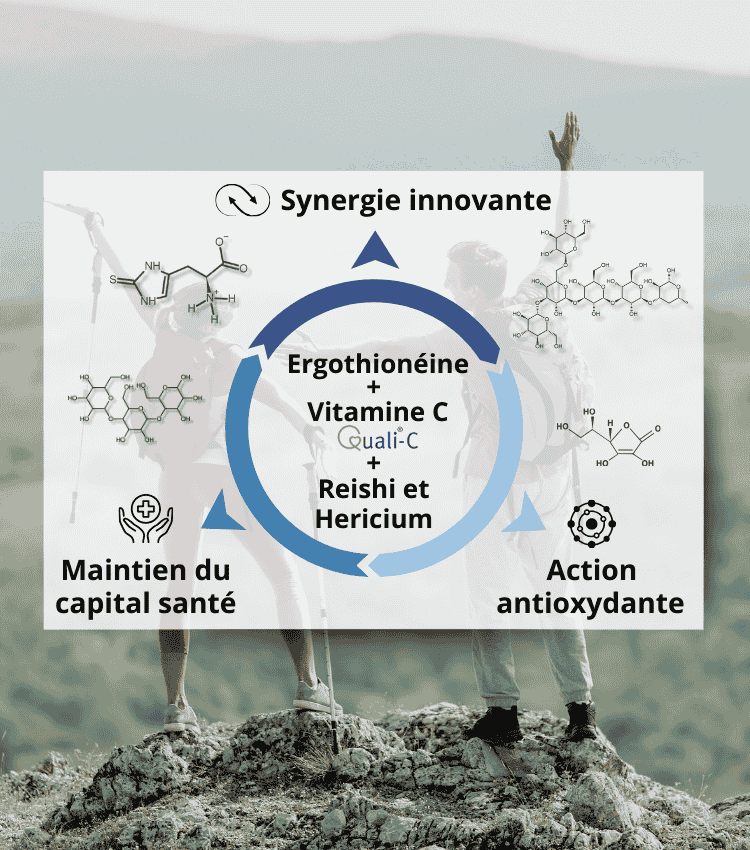 Ergothionéine MycoComplex , une synergie innovante d'Ergothionéine + vitamine c quali-c + reishi et hericium
