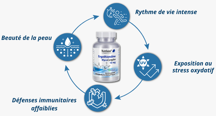 C'est pour qui la formulation Ergothionéine MycoComplex ?