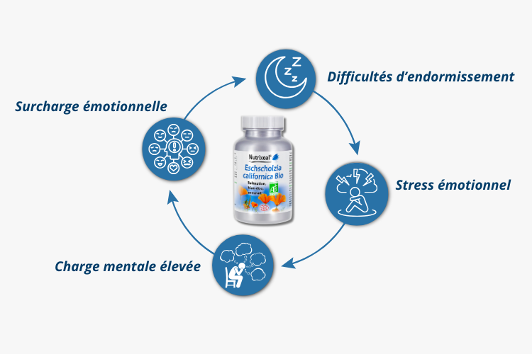 200 Gélules Végétales D'Escholtzia Bio 240mg - Pavot De Californie Pour Le Sommeil - GPH Diffusion