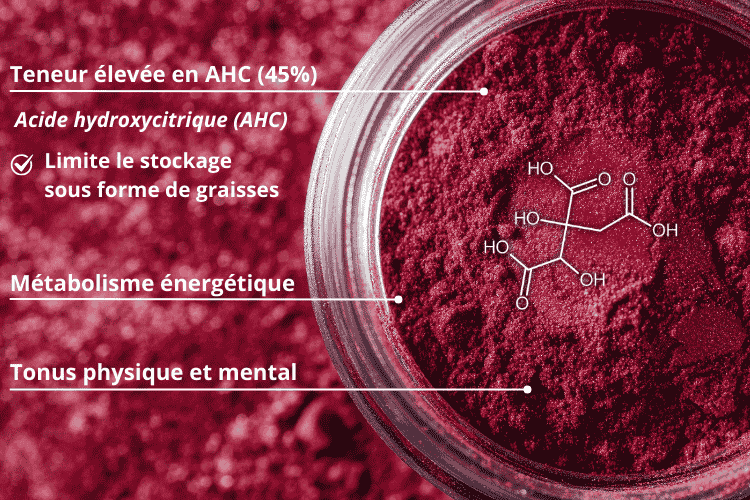 Hibiscus_riche_en_AHC