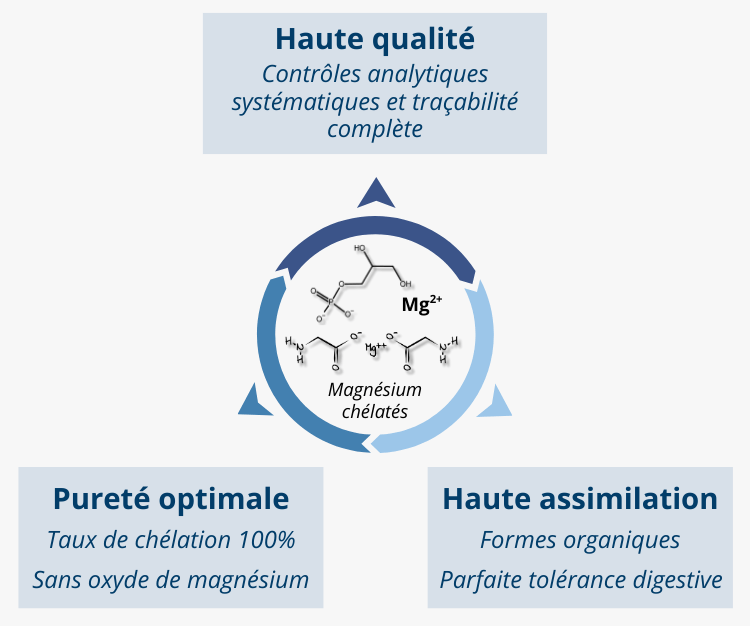 Magnésium chélaté 