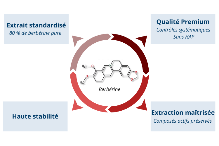 Berberine