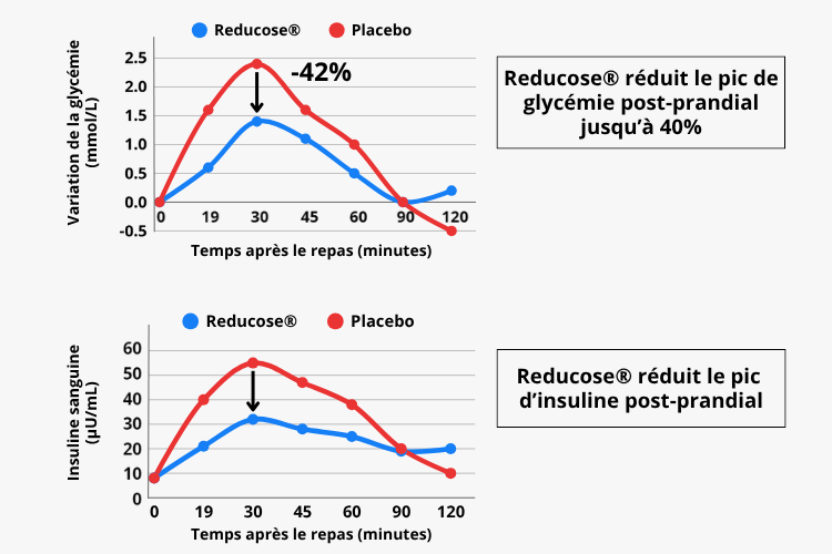 Bienfaits de reducose sur la variation de la glycémie et insuline