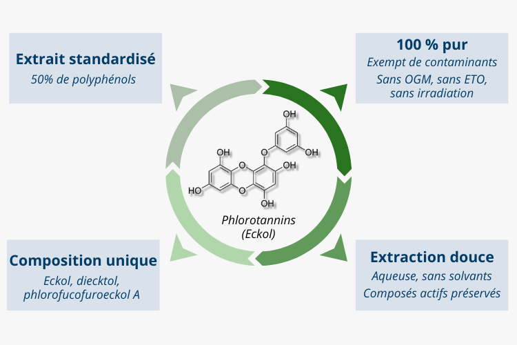 Phorotanins