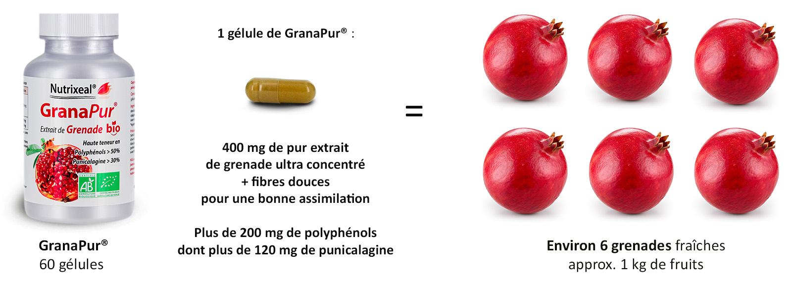 Notre complément alimentaire Grenade BIO contient un extrait ultra concentré de grenade bio