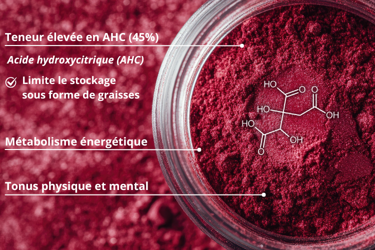 Hibiscus_riche_en_AHC