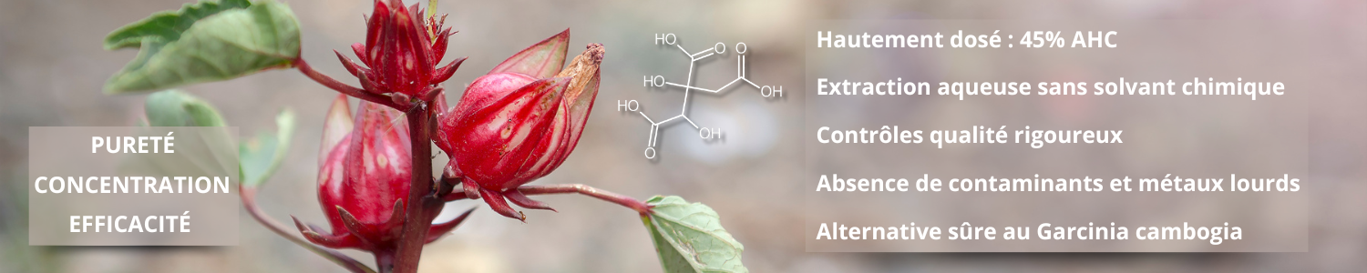 Les atouts de l'hibiscus sélectionné par Nutrixeal