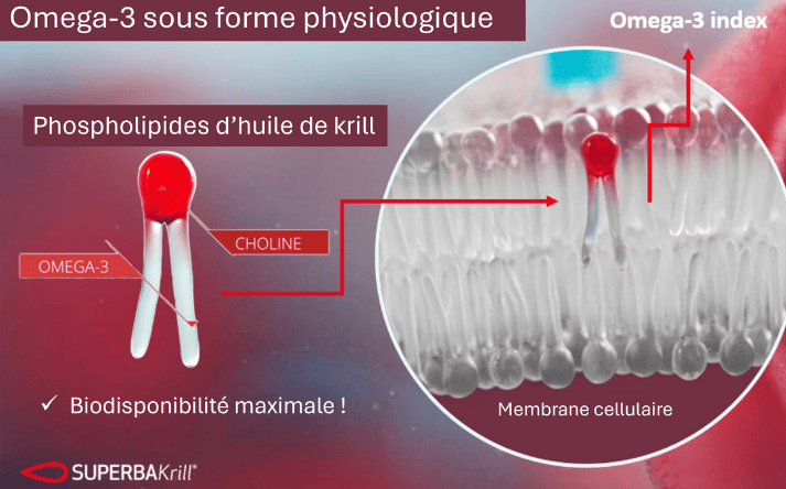 La composition de l'huile de krill