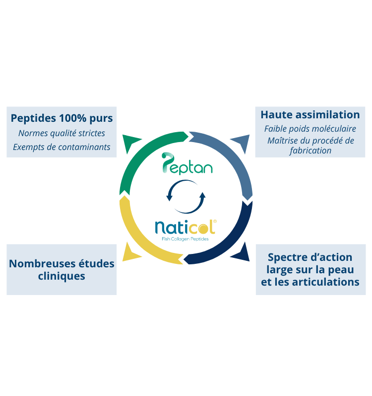 Synergie collagenes marins Peptan et Naticol