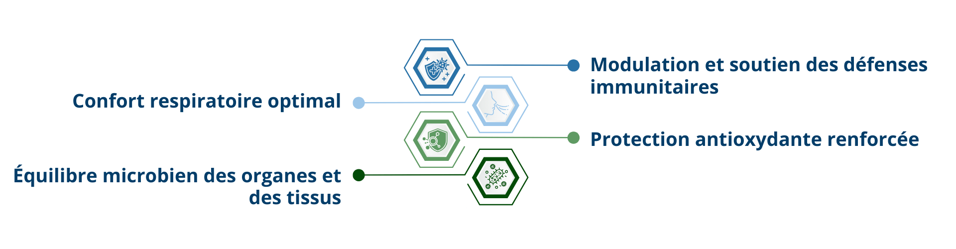 Les effets attendus d'Immunactif