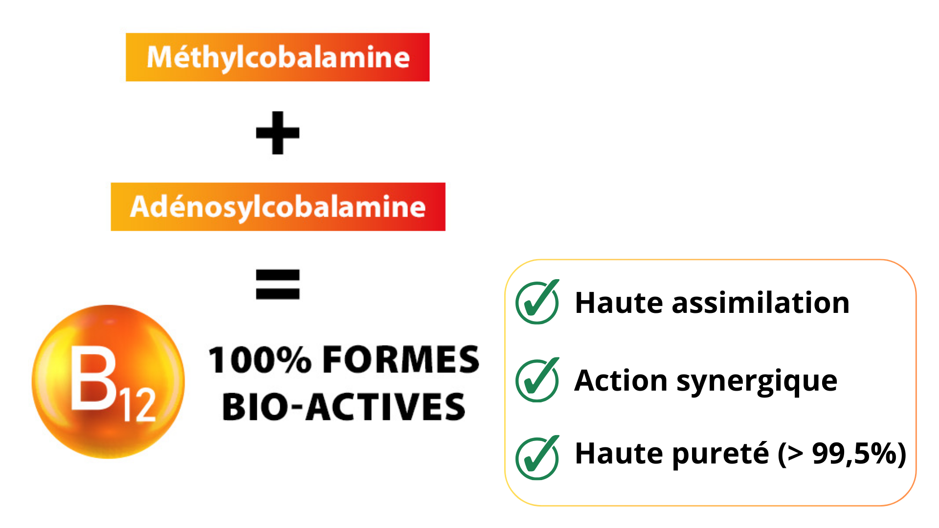 De la vitamine B12 forme bioactive methylcobalamine et adenosylcobalamine dans l'Ixeaboost Hémoglobine