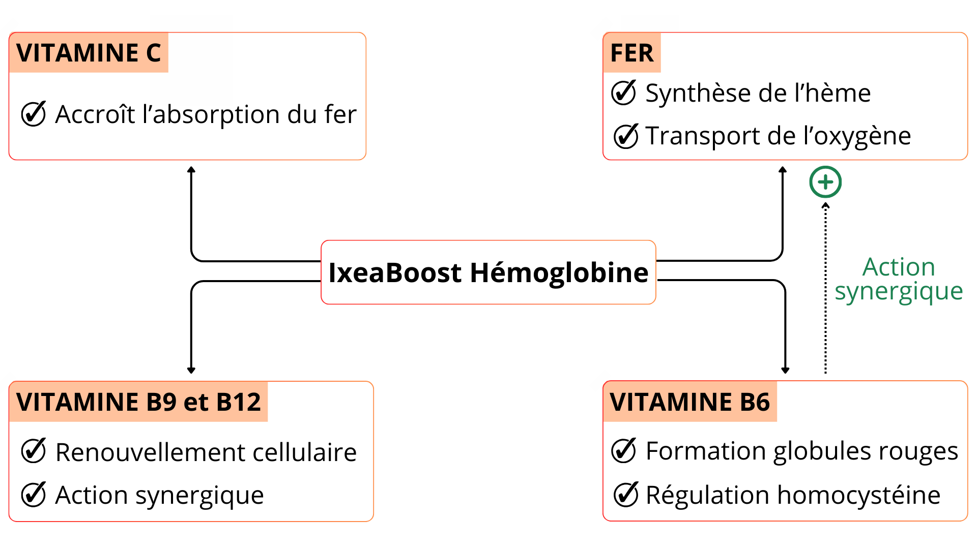 IxeaBoost Hémoglobine un complexe synergique de fer chélaté, vitamine C, Vitamines B6, B9, B12 pour la production'd'hemoglobine