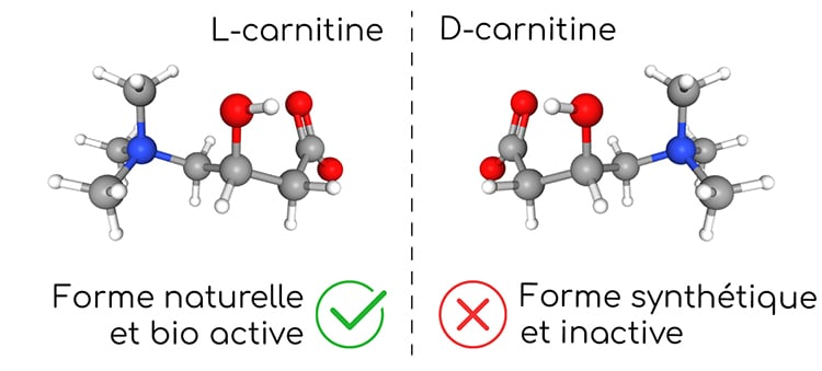 Forme naturelle et bioactive L-carnitine
