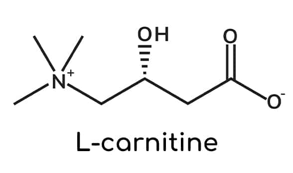 structure chimique L-carnitine