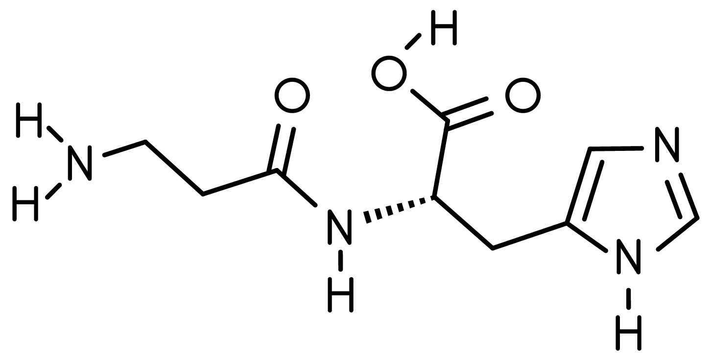 Schéma moléculaire de la L-carnosine