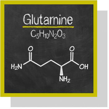 Structure moléculaire de L-glutamine