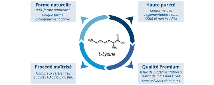 Pourquoi choisir la L-lysine Nutrixeal