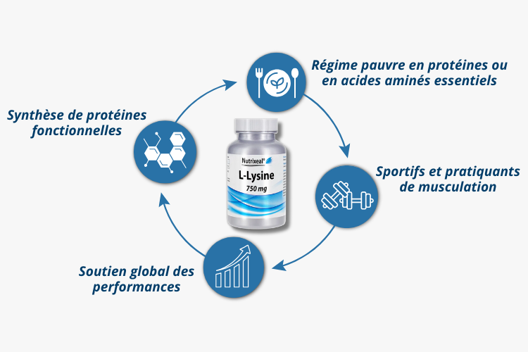 Pour qui la L-Lysine 750 mg