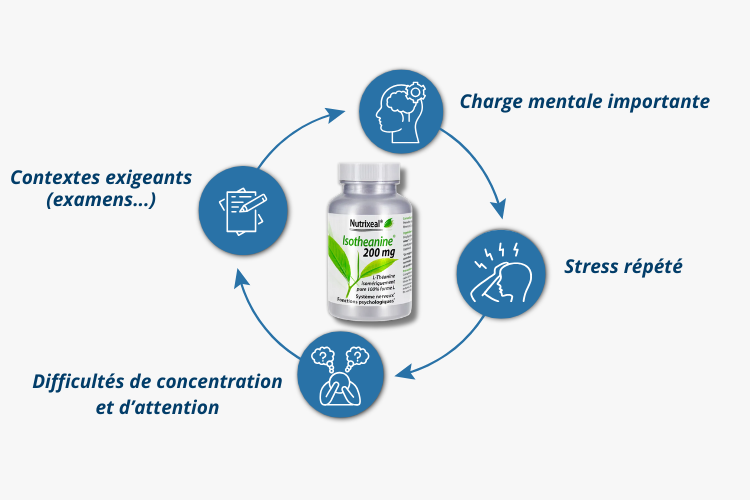 Pour qui L-théanine isothéanine
