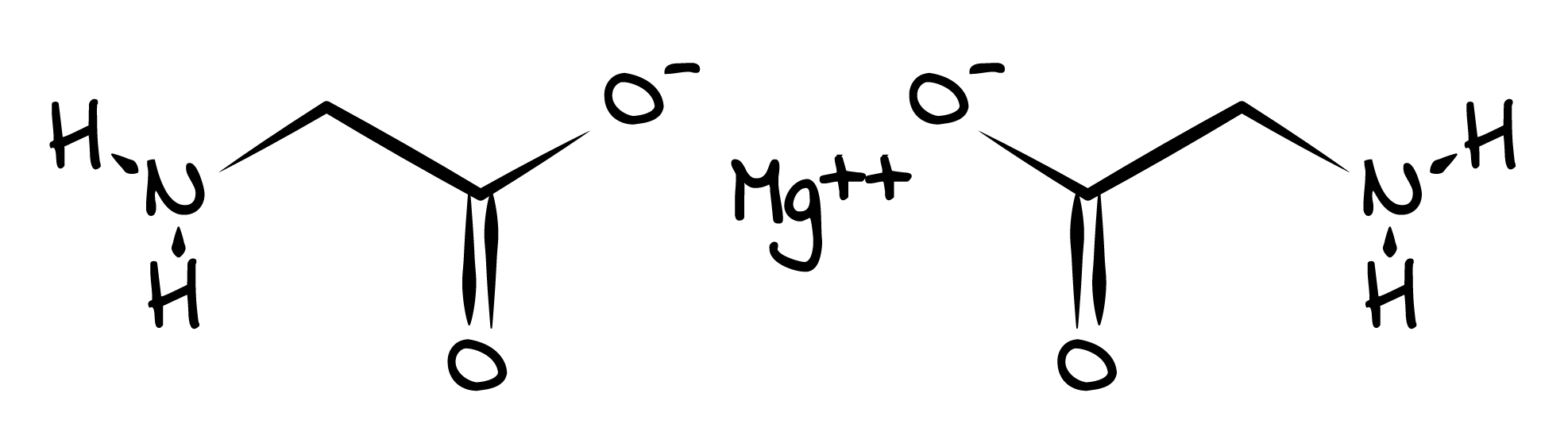 Magnésium chélaté bisglycinate