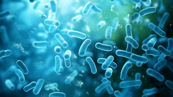 Lactobacillus gasseri BIO