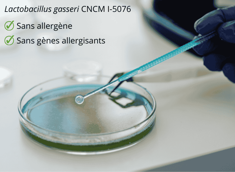 Lactobacillus gasseri BIO