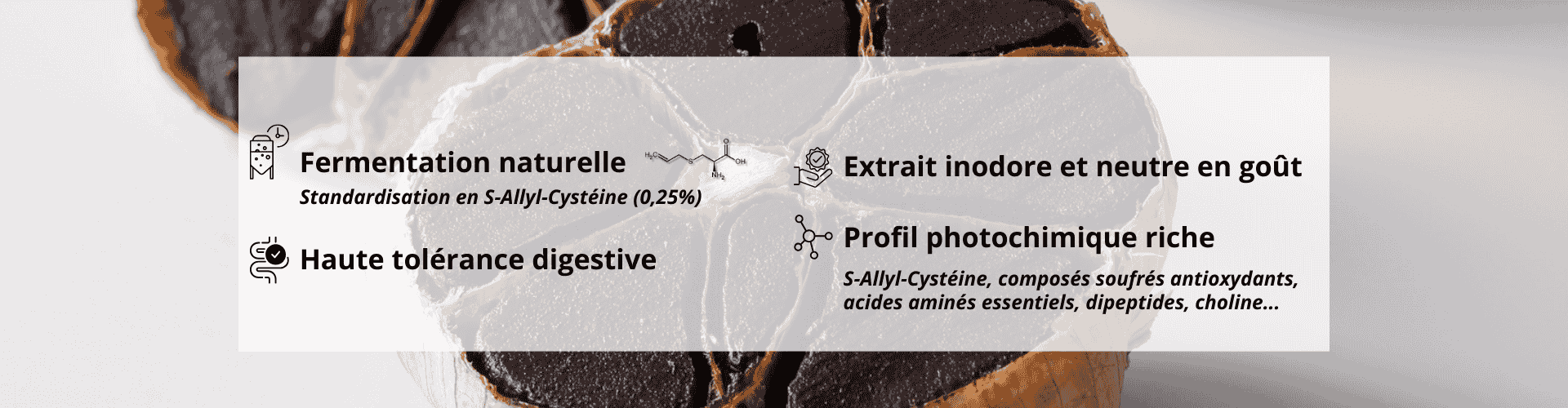 Extrait d'ail noir standardisé en SAC de qualité premium